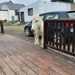 Farm Pets And Families Welcome