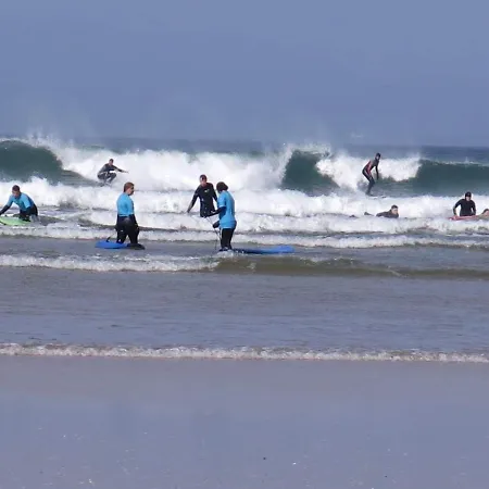 Farm Pets And Families Welcome