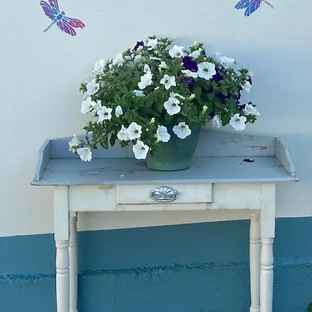 Farm Pets And Families Welcome Holiday home Rossnowlagh