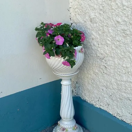 Ferienhaus Farm Pets And Families Welcome *