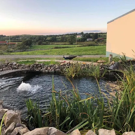 Farm Pets And Families Welcome