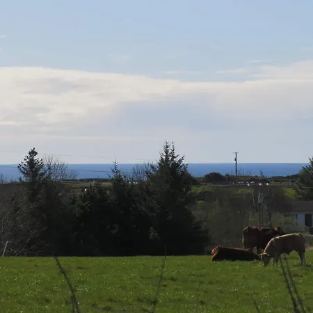 Farm Pets And Families Welcome Tatil Evi Rossnowlagh