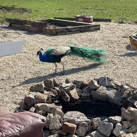 Holiday home Farm Pets And Families Welcome