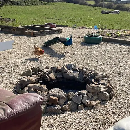 Ferienhaus Farm Pets And Families Welcome Rossnowlagh