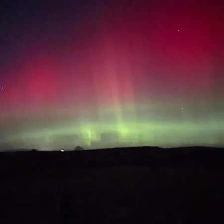 Farm Pets And Families Welcome