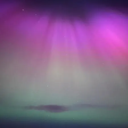 Farm Pets And Families Welcome