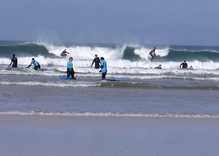 Farm Pets And Families Welcome