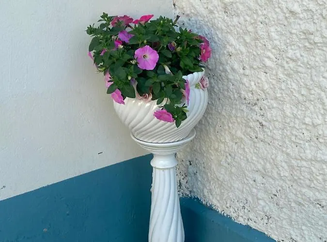 度假居 Farm Pets And Families Welcome *