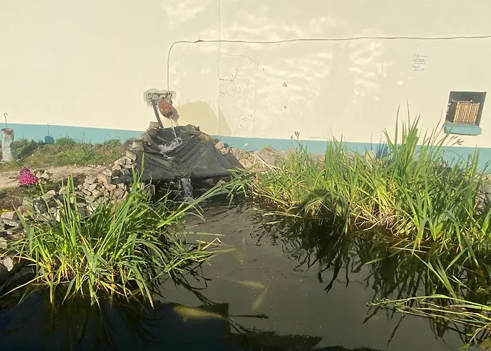 Farm Pets And Families Welcome 拉斯诺拉