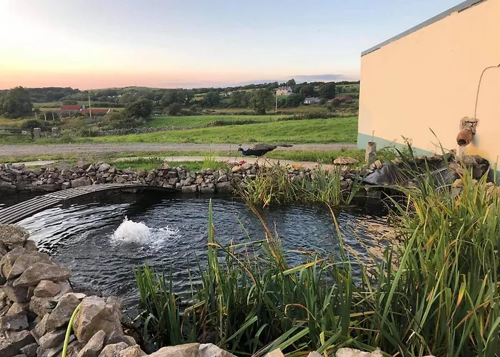 Farm Pets And Families Welcome