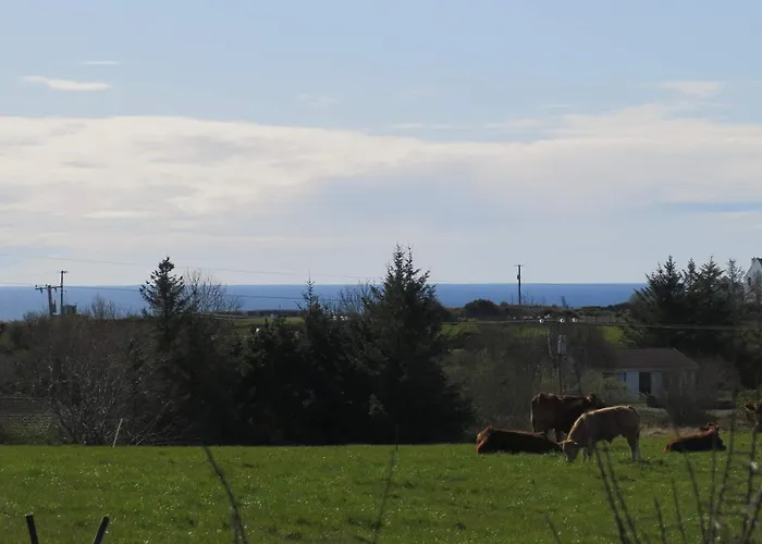 Farm Pets And Families Welcome Tatil Evi Rossnowlagh