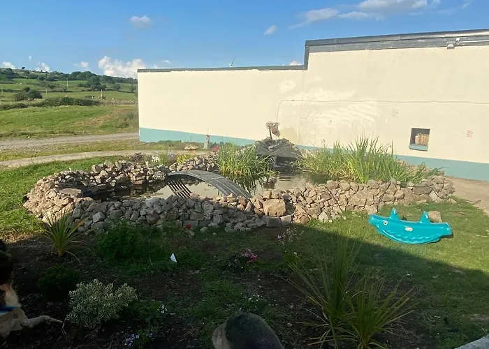 Farm Pets And Families Welcome * Rossnowlagh