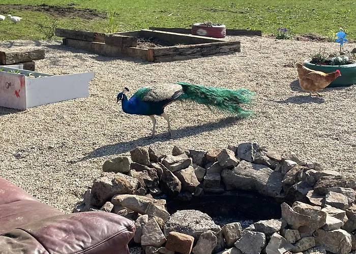 度假居 Farm Pets And Families Welcome