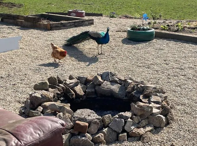 度假居 Farm Pets And Families Welcome 拉斯诺拉