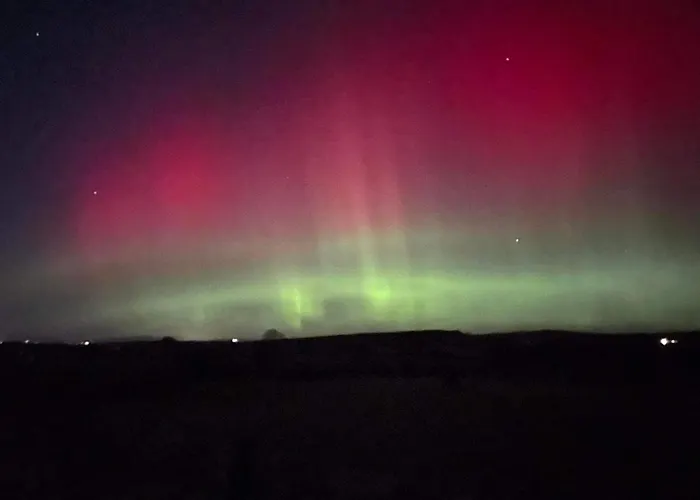 Farm Pets And Families Welcome