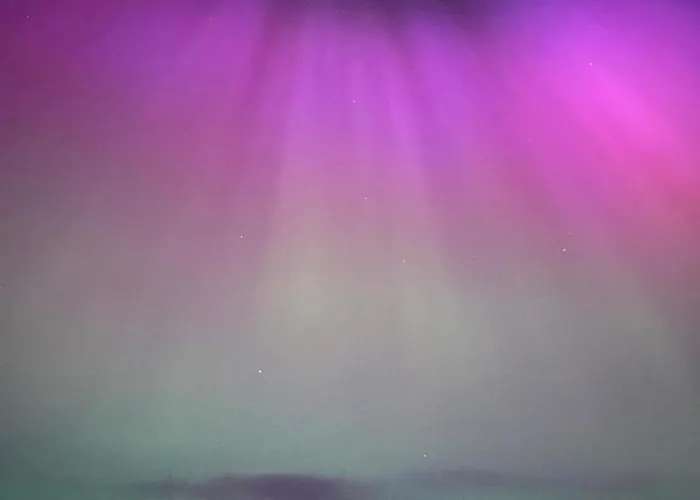 Farm Pets And Families Welcome