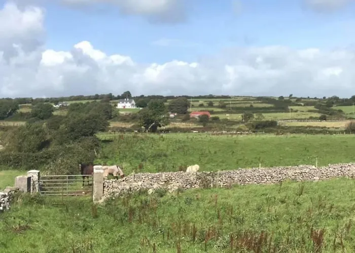 Farm Pets And Families Welcome 度假居 *